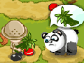 Baby Zoo Panda